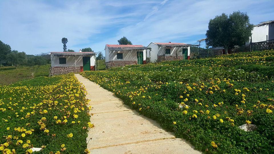 Ferma Jebala Ecolodge Kitane Zewnętrze zdjęcie