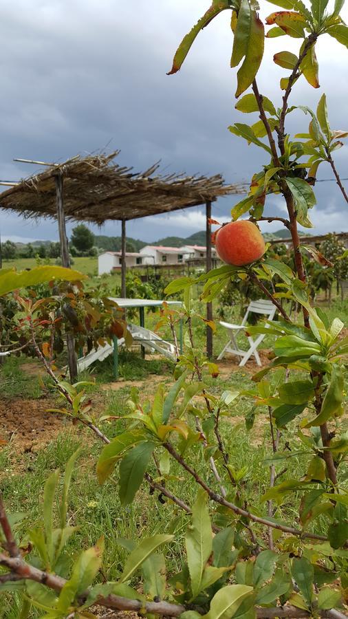 Ferma Jebala Ecolodge Kitane Zewnętrze zdjęcie