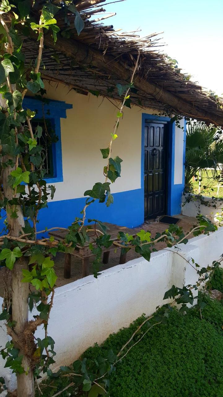 Ferma Jebala Ecolodge Kitane Zewnętrze zdjęcie