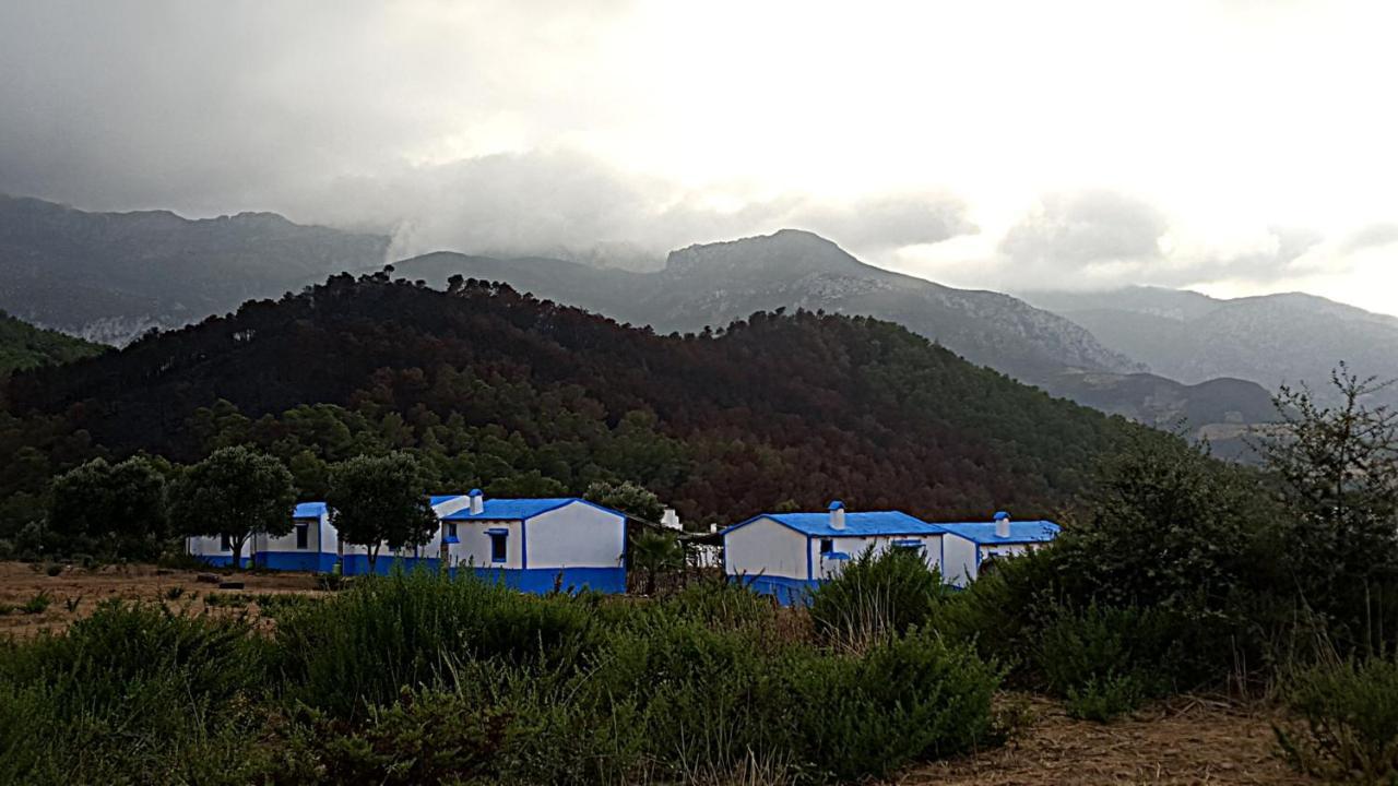 Ferma Jebala Ecolodge Kitane Zewnętrze zdjęcie